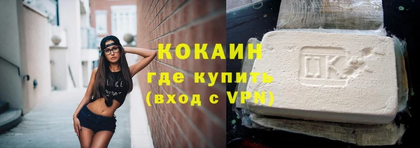 гашик Новозыбков