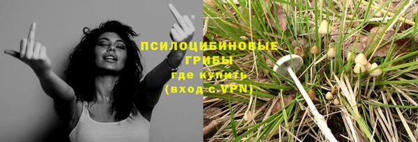 молекула духа Новокубанск