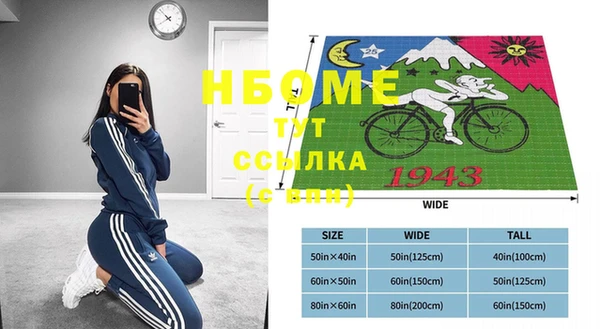 гашик Новозыбков