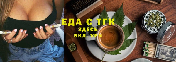 гашик Новозыбков