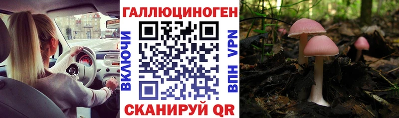 Галлюциногенные грибы Psilocybe  Тарко-Сале 